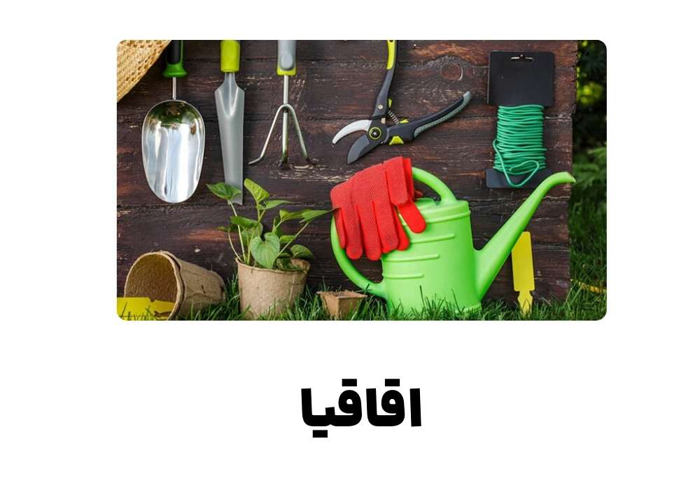 اقاقیا