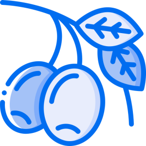 کیورد زیتون
