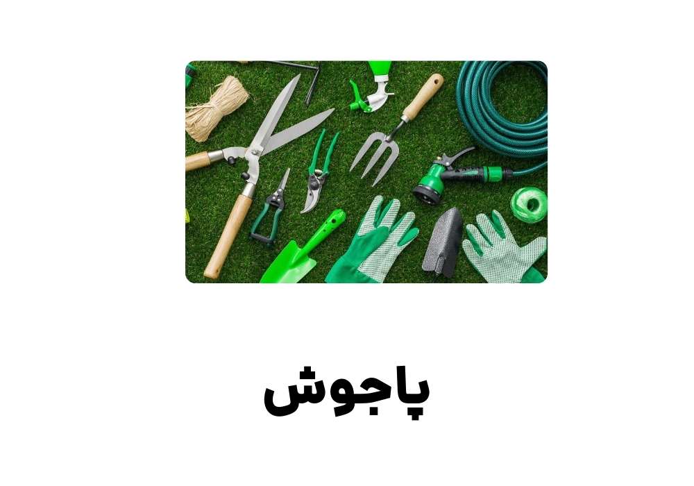 پاجوش