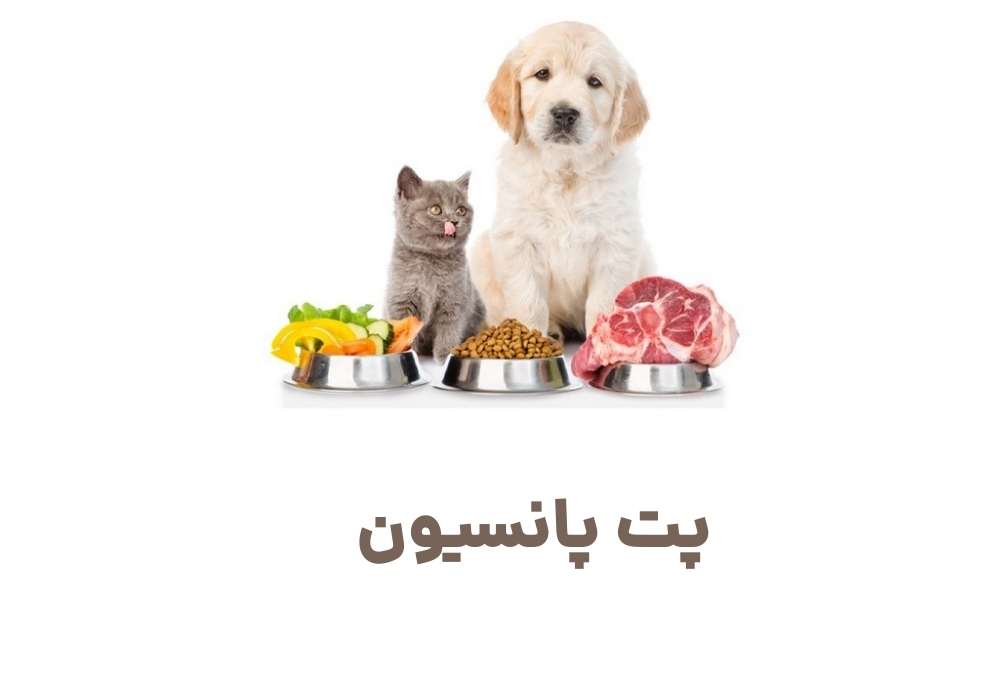 پت پانسیون