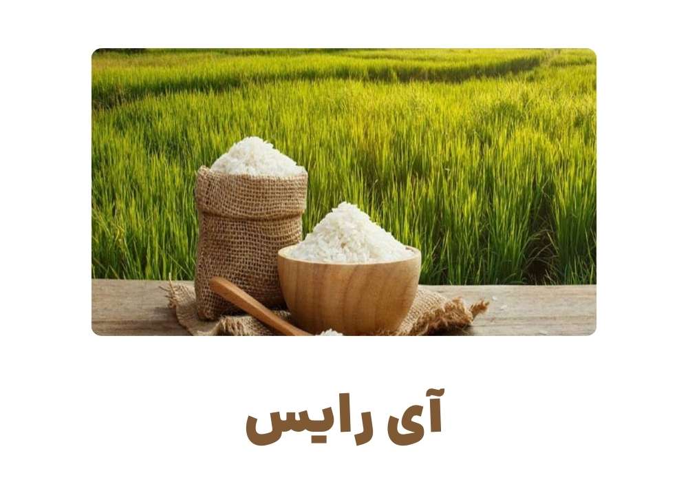 آی رایس
