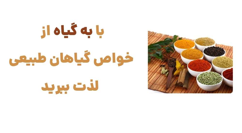 با به گیاه، از خواص گیاهان طبیعی لذت ببرید